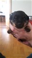 20160128_134433.jpg