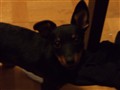 DSC00083.JPG