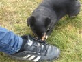 DSC00686.JPG