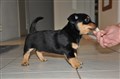 DSC_000421.JPG