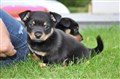 DSC_0027.JPG