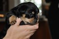 DSC_0507.JPG