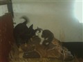 IMAG_0021.jpg